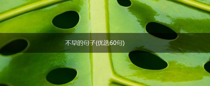 不早的句子(优选60句),第1张