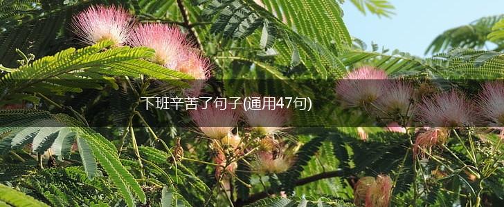 下班辛苦了句子(通用47句),第1张 下班辛苦了句子(通用47句),第1张