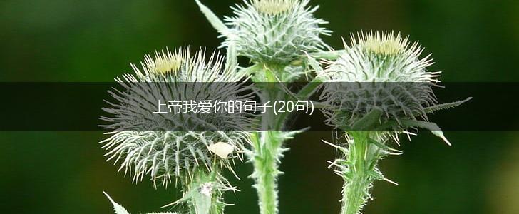 上帝我爱你的句子(20句),第1张
