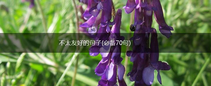 不太友好的句子(必备70句),第1张