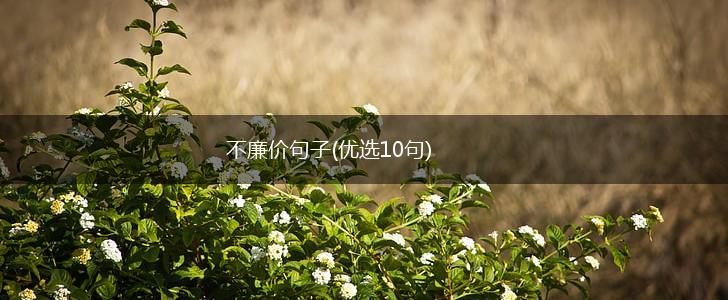 不廉价句子(优选10句),第1张