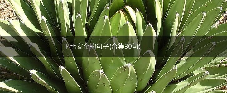 下雪安全的句子(合集30句),第1张