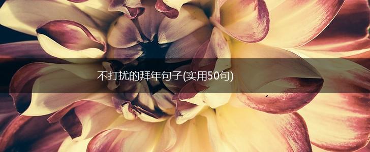 不打扰的拜年句子(实用50句),第1张