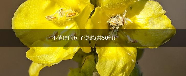 不值得的句子说说(共50句),第1张