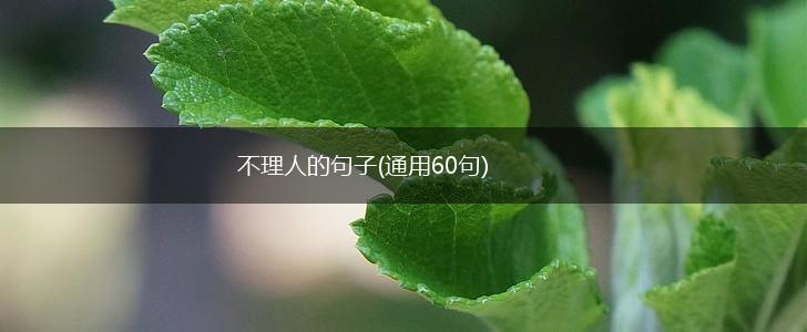 不理人的句子(通用60句),第1张 不理人的句子(通用60句),第1张