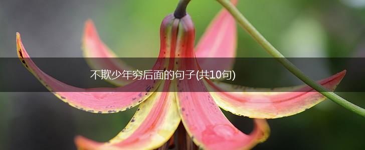 不欺少年穷后面的句子(共10句),第1张
