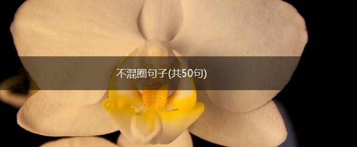 不混圈句子(共50句),第1张