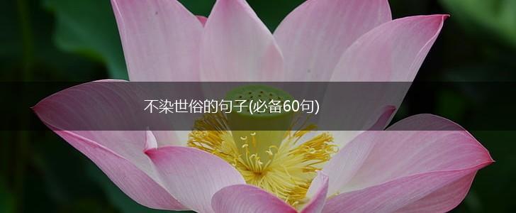 不染世俗的句子(必备60句),第1张