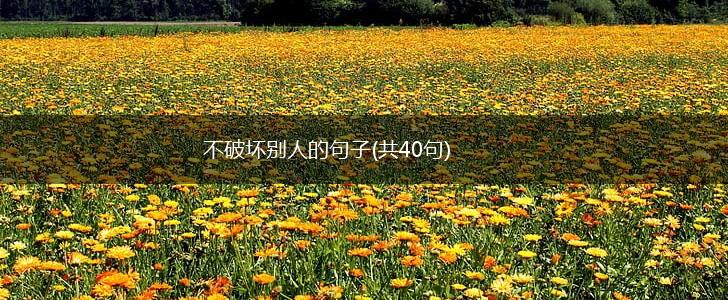 不破坏别人的句子(共40句),第1张