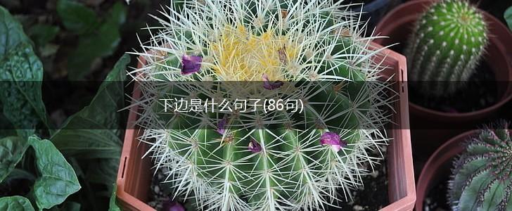 下边是什么句子(86句),第1张