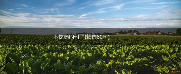 不懦弱的句子(精选60句),第1张