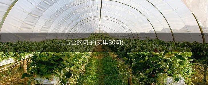 与会的句子(实用30句),第1张