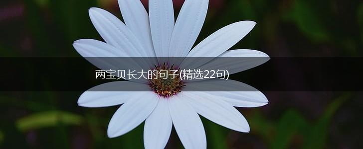 两宝贝长大的句子(精选22句),第1张