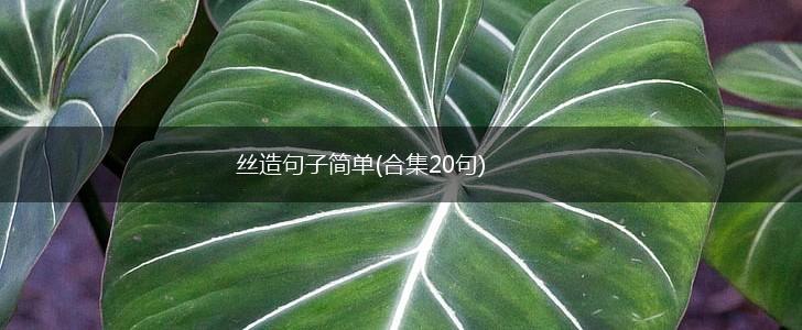 丝造句子简单(合集20句),第1张