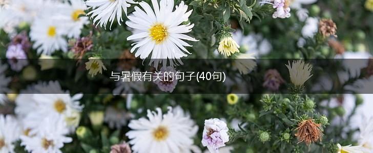 与暑假有关的句子(40句),第1张