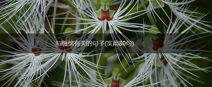 与缠绵有关的句子(实用80句),第1张
