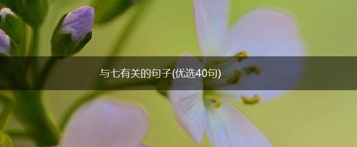 与七有关的句子(优选40句),第1张