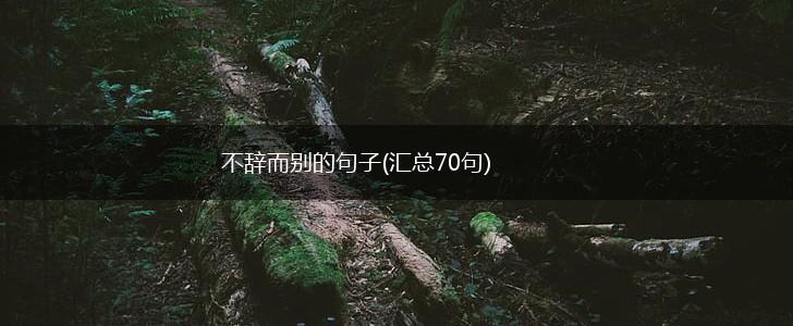 不辞而别的句子(汇总70句),第1张