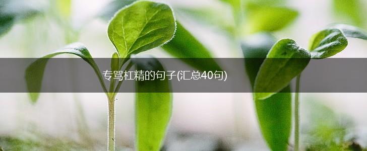 专骂杠精的句子(汇总40句),第1张