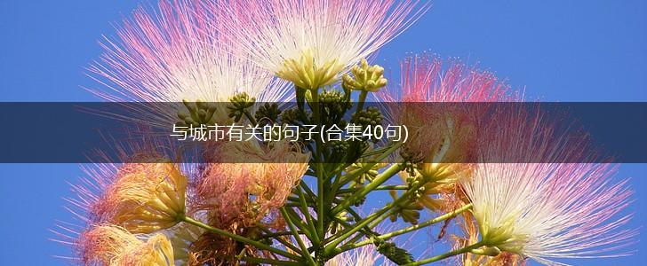 与城市有关的句子(合集40句),第1张