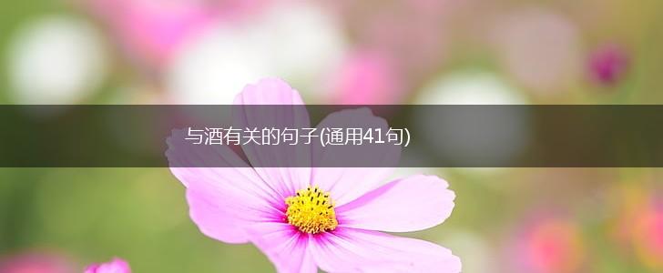 与酒有关的句子(通用41句),第1张