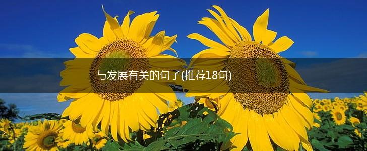 与发展有关的句子(推荐18句),第1张