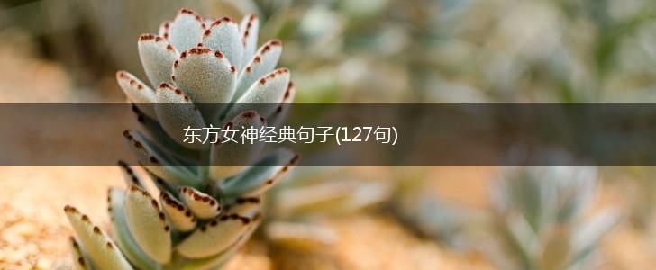 东方女神经典句子(127句),第1张