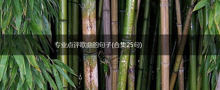专业点评歌曲的句子(合集25句),第1张