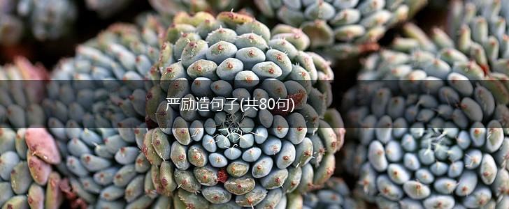 严励造句子(共80句),第1张