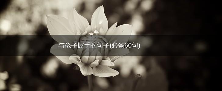 与孩子握手的句子(必备60句),第1张