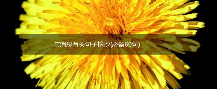 与消息有关句子摘抄(必备60句),第1张