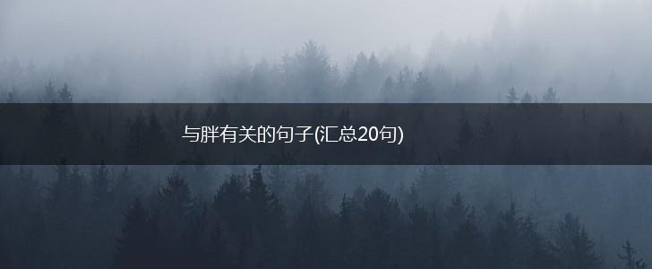 与胖有关的句子(汇总20句),第1张
