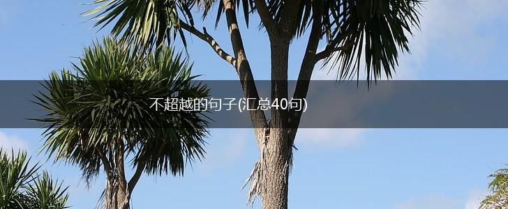 不超越的句子(汇总40句),第1张