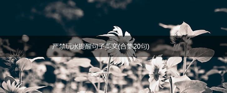 严禁玩水提醒句子英文(合集20句),第1张