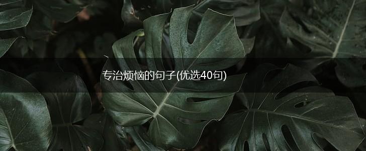 专治烦恼的句子(优选40句),第1张