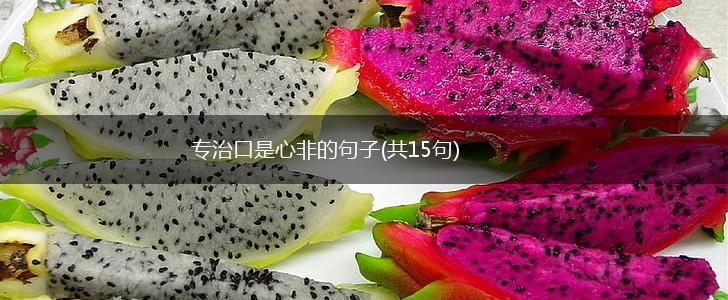 专治口是心非的句子(共15句),第1张