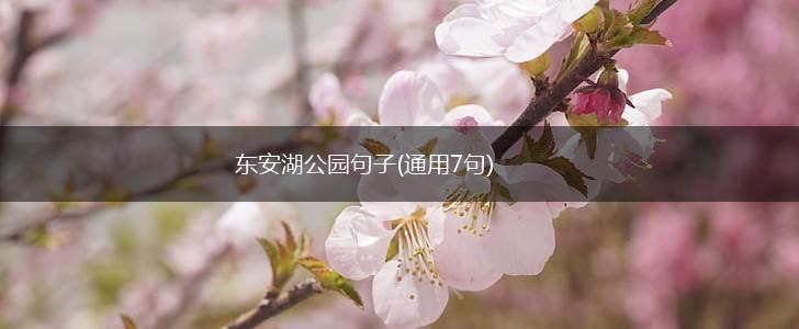 东安湖公园句子(通用7句),第1张