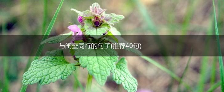 与闺蜜同行的句子(推荐40句),第1张