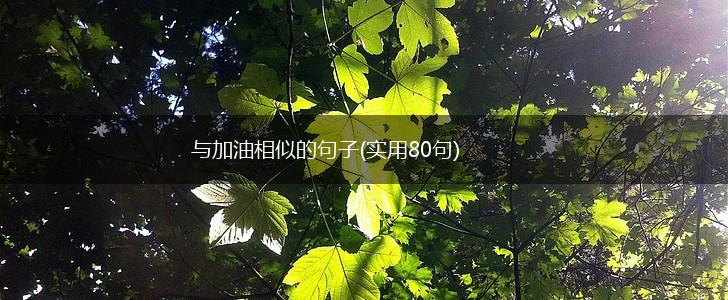 与加油相似的句子(实用80句),第1张 与加油相似的句子(实用80句),第1张