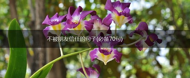 不被朋友信任的句子(必备70句),第1张