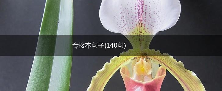 专接本句子(140句),第1张