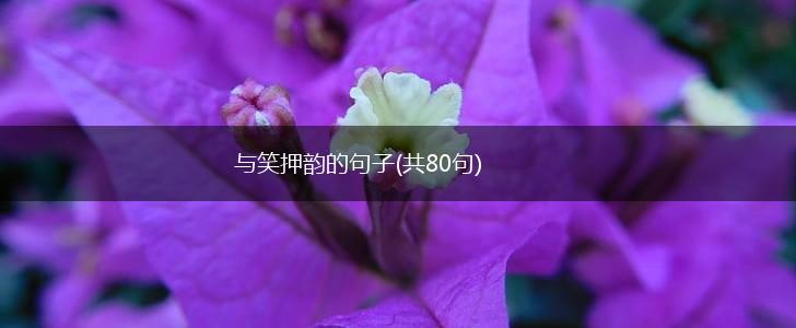 与笑押韵的句子(共80句),第1张