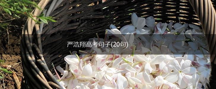 严浩翔高考句子(20句),第1张