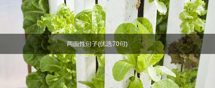 两面性句子(优选70句),第1张