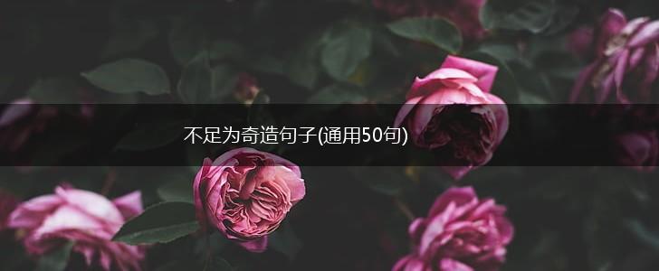 不足为奇造句子(通用50句),第1张