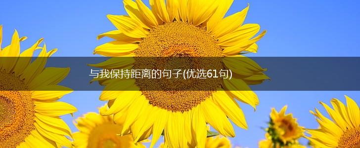 与我保持距离的句子(优选61句),第1张