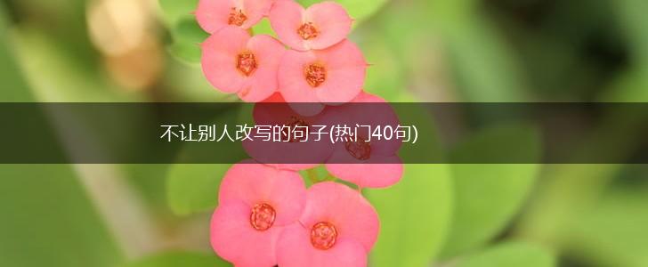 不让别人改写的句子(热门40句),第1张