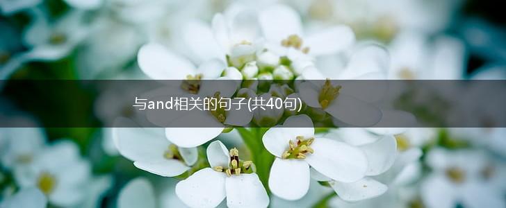 与and相关的句子(共40句),第1张