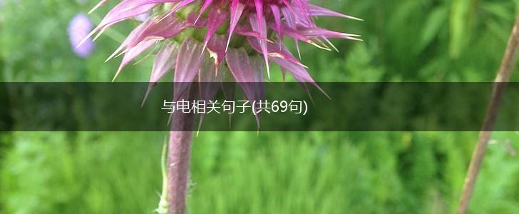 与电相关句子(共69句),第1张