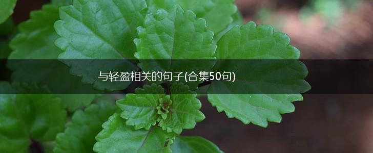 与轻盈相关的句子(合集50句),第1张